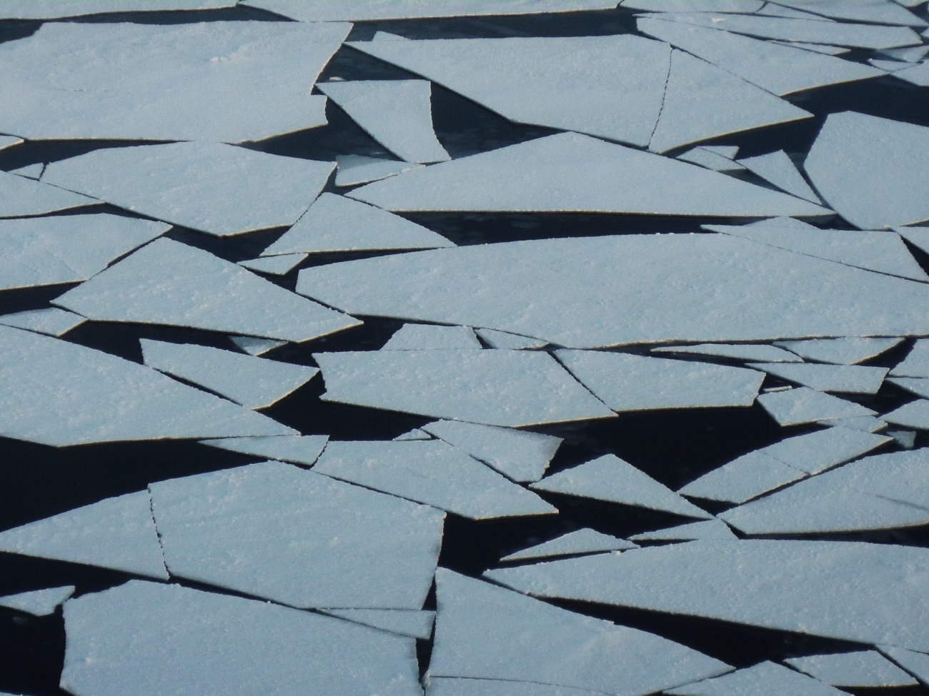 Polygons of new ice form striking geometric patterns
