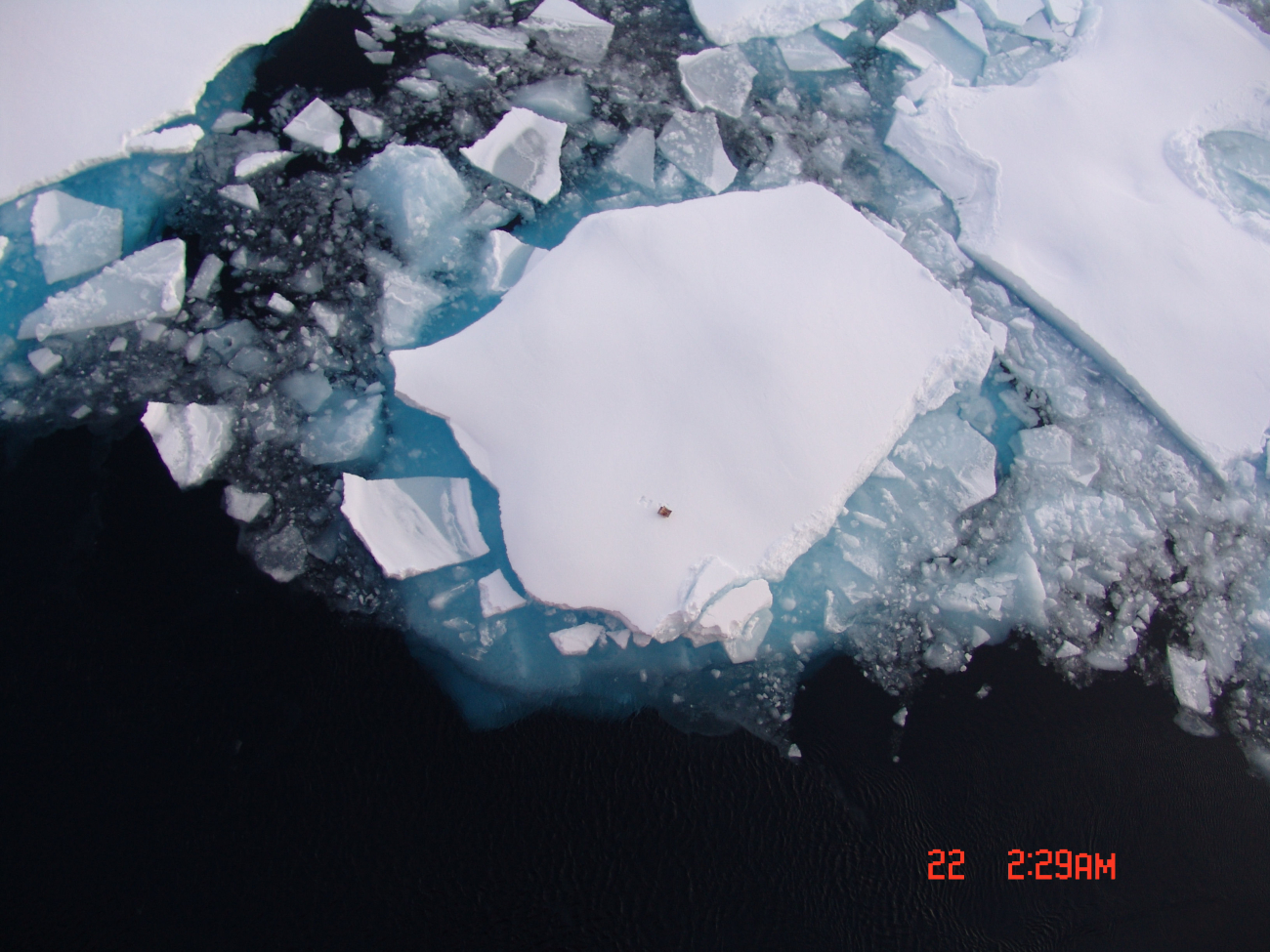 Small floe surrounded by brash ice with box on floe for scale