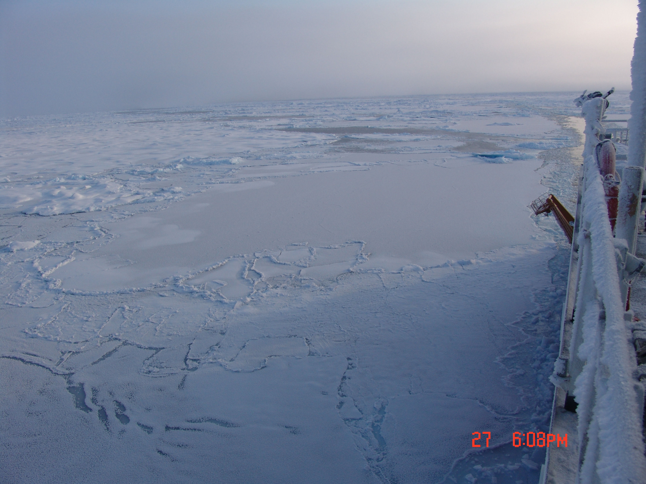 Healy traversing an area of floes of first year ice