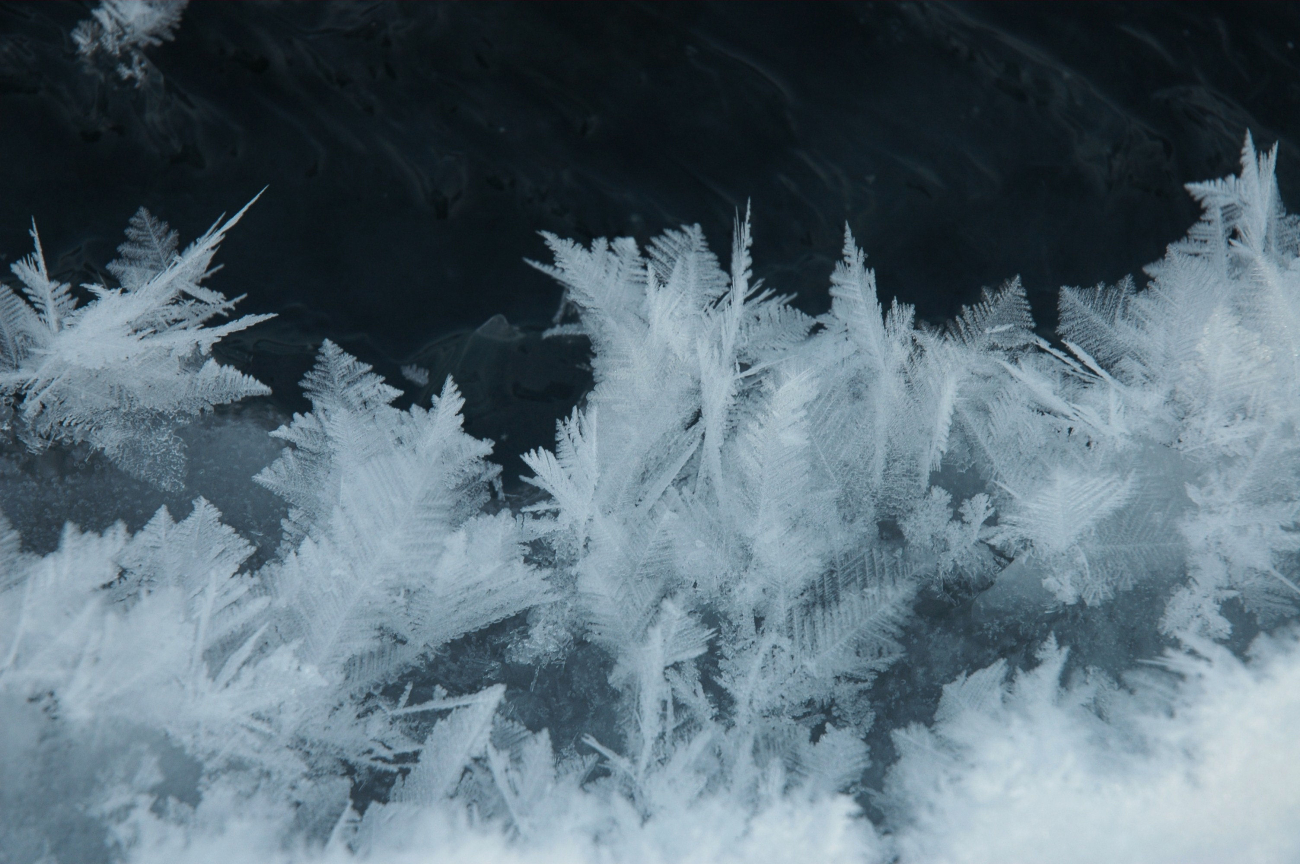 Beautiful ice crystals reminiscent of ferns developing in crack in ice pack