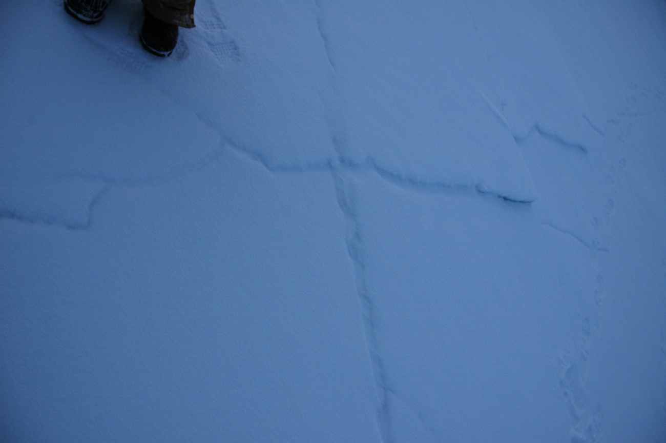 X marks the spotwhere ice floes had frozen together
