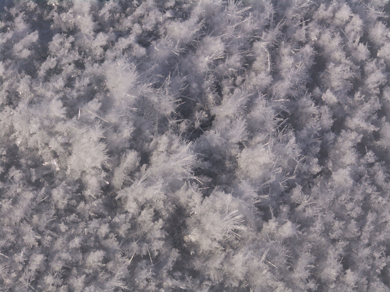 Long needle-like ice crystals on top of ice surface