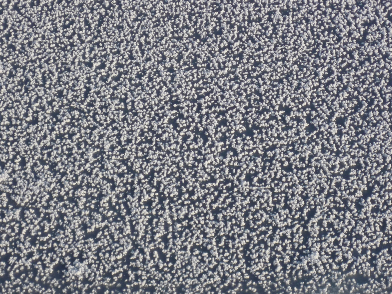 Graupel covering ice surface