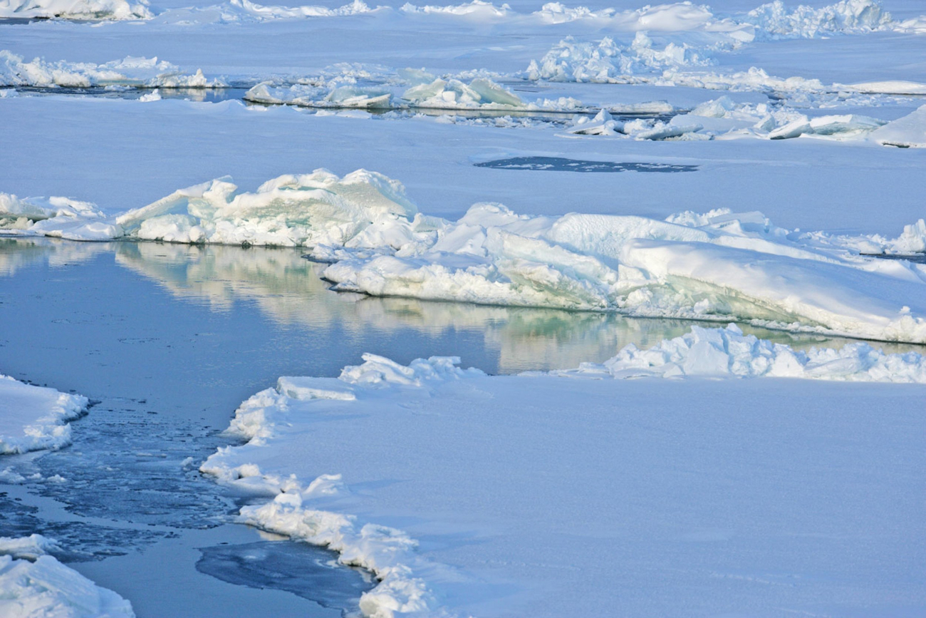 Arctic Ocean ice floes