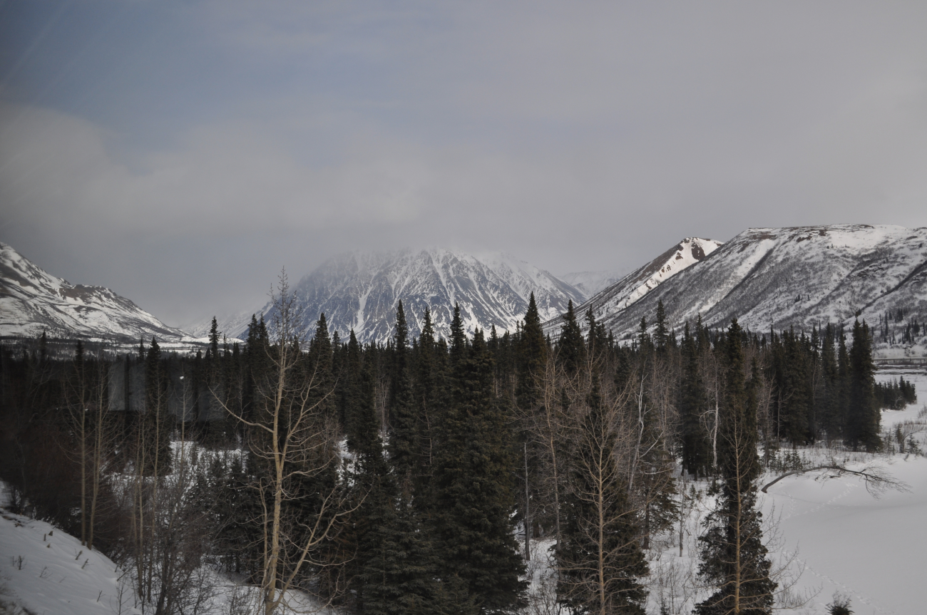A scene along the Alaska Railroad Aurora Winter Train