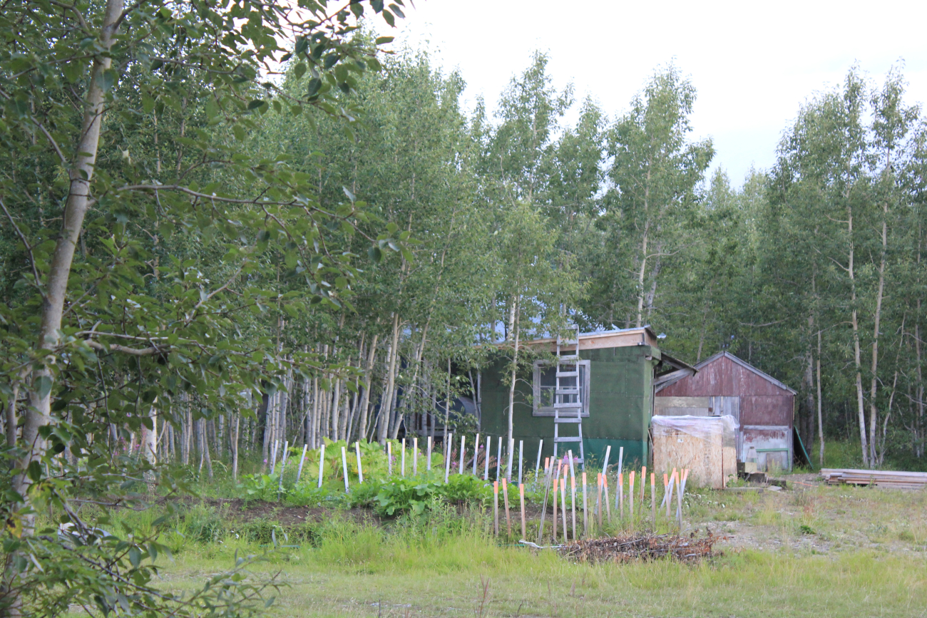 A home and garden at Talkeetna, the Gateway to Mt