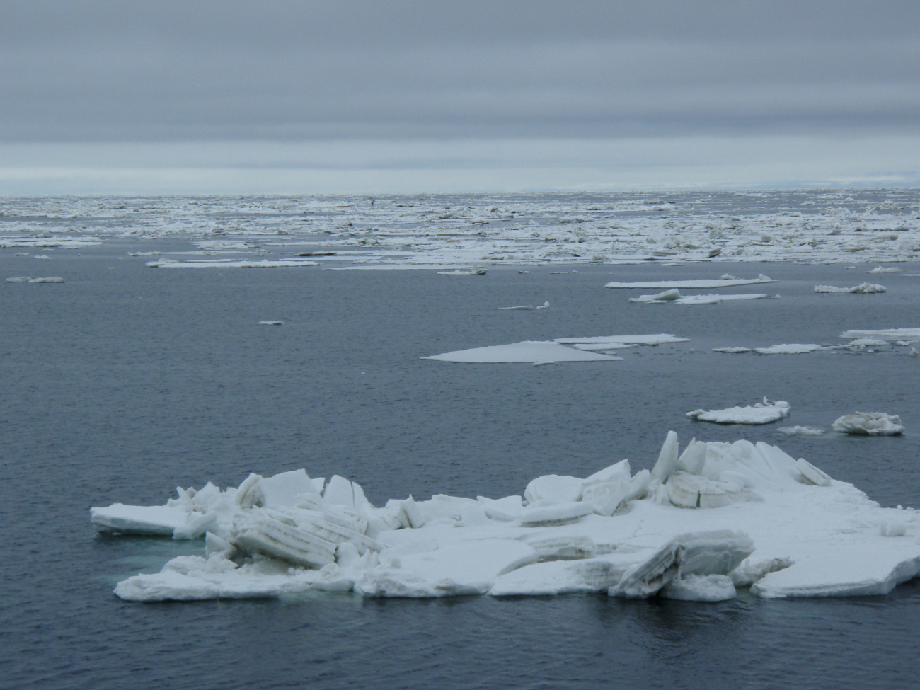Large floes that show evidence of having been jostled and overrun by nearbyfloes in rough seas