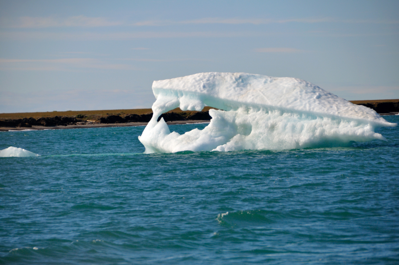 Looking like a shark's mouth, a floe is melting in the waters off DemarcationPoint
