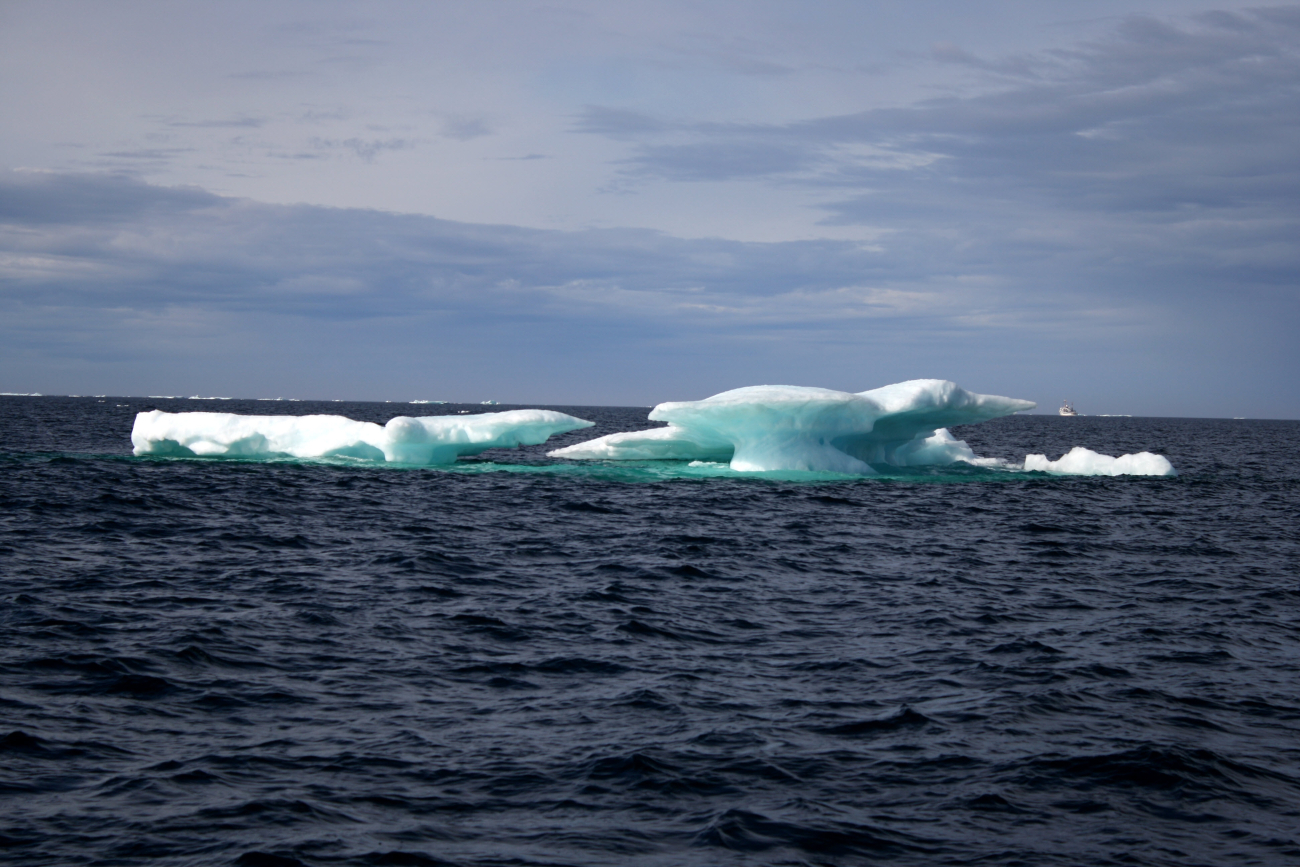 NOAA Ship FAIRWEATHER seen in the distance with a mushroom shapedmelting floe in the foreground