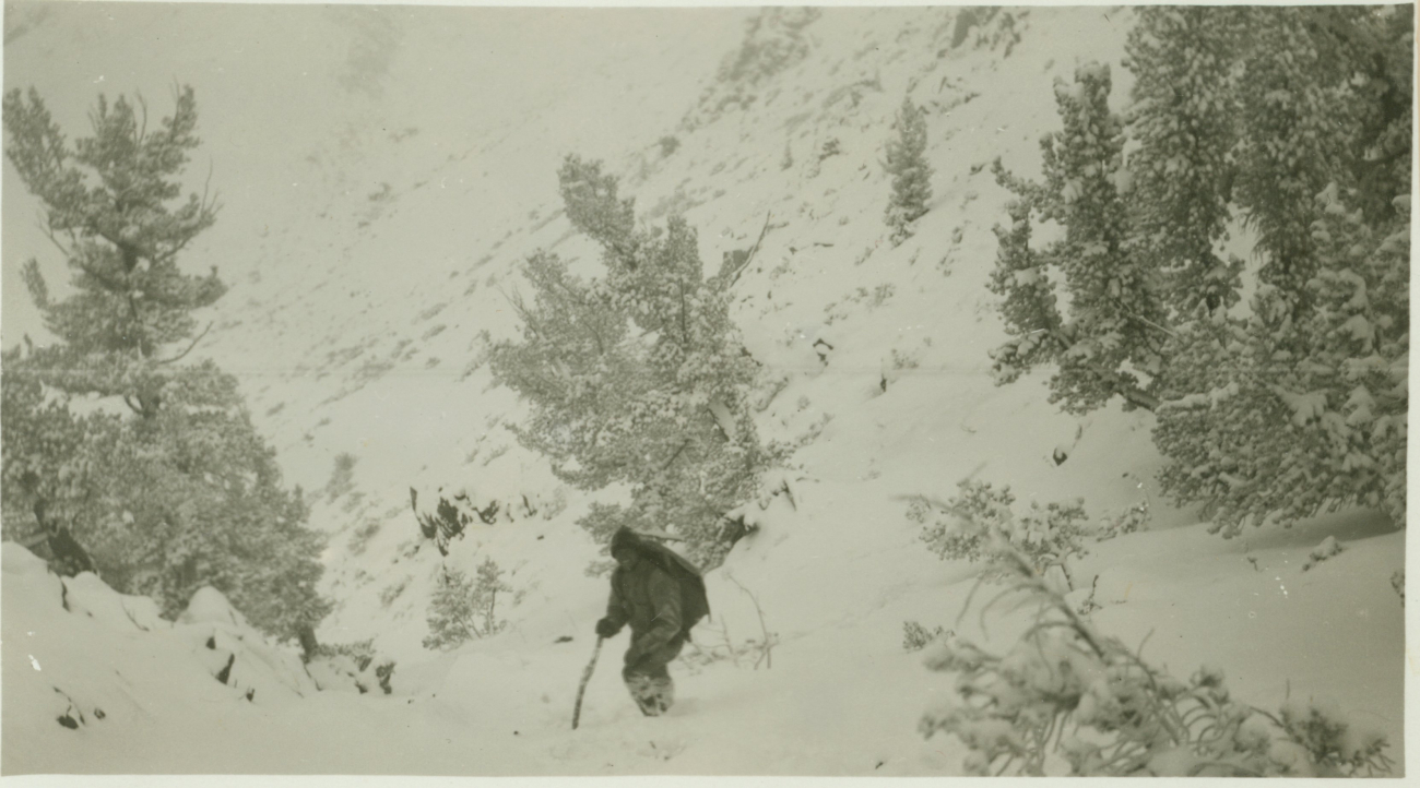 Party chief Lieutenant Jack Johnson in the high Sierra on the west side of Owens Valley, California