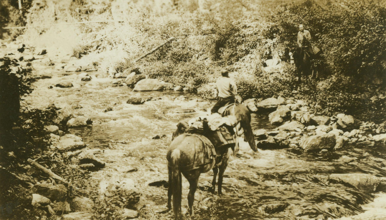 Crossing stream with pack horses on way up Sheep Mountain