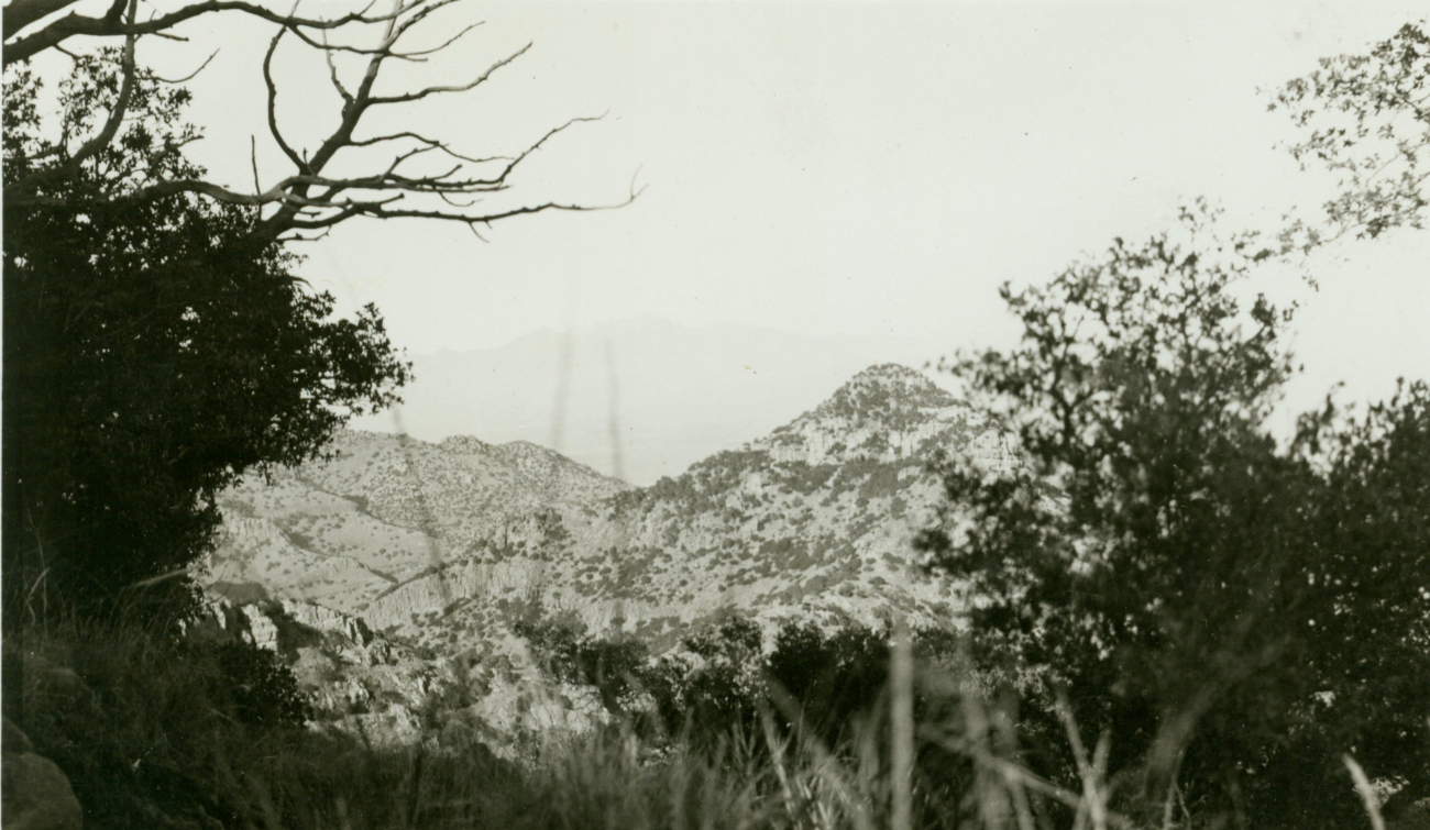 Old Baldy, barely visible in the distance, as seen from Station Atacosa