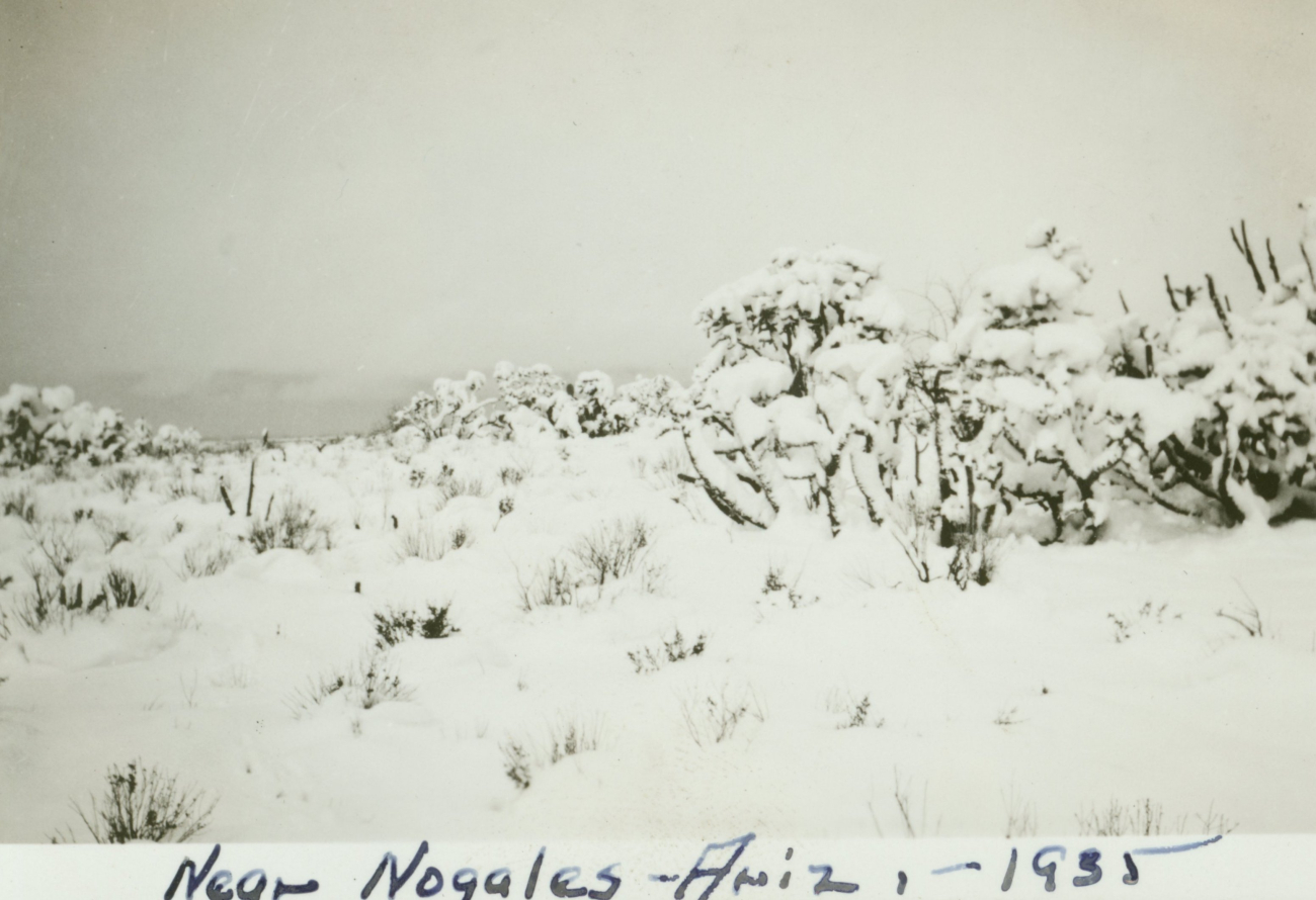 Snow in the desert near Nogales