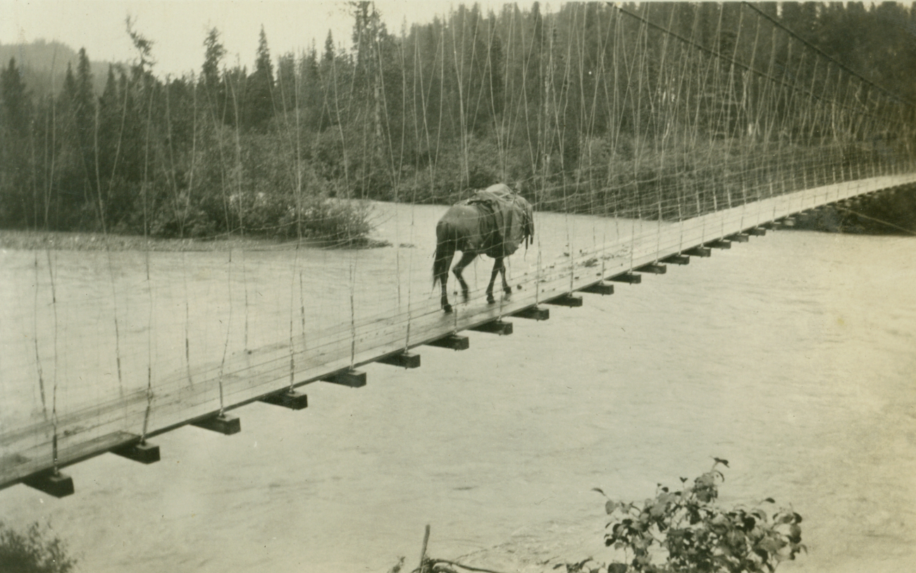 Crossing over one of the many rivers in central Alaska on a suspension bridge