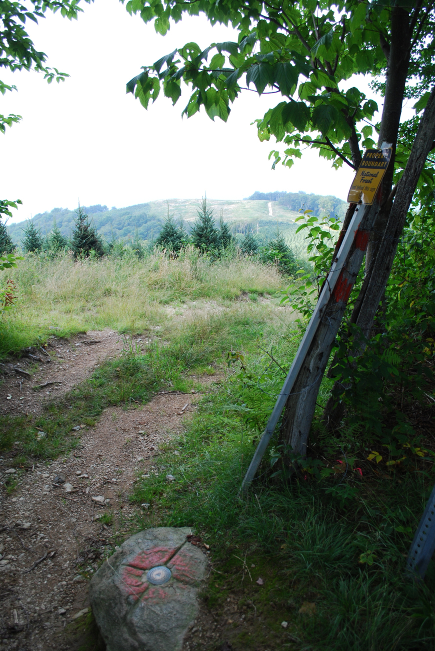 Geodetic marker on the junction of North Carolina, Virginia, and Tennesseeborders