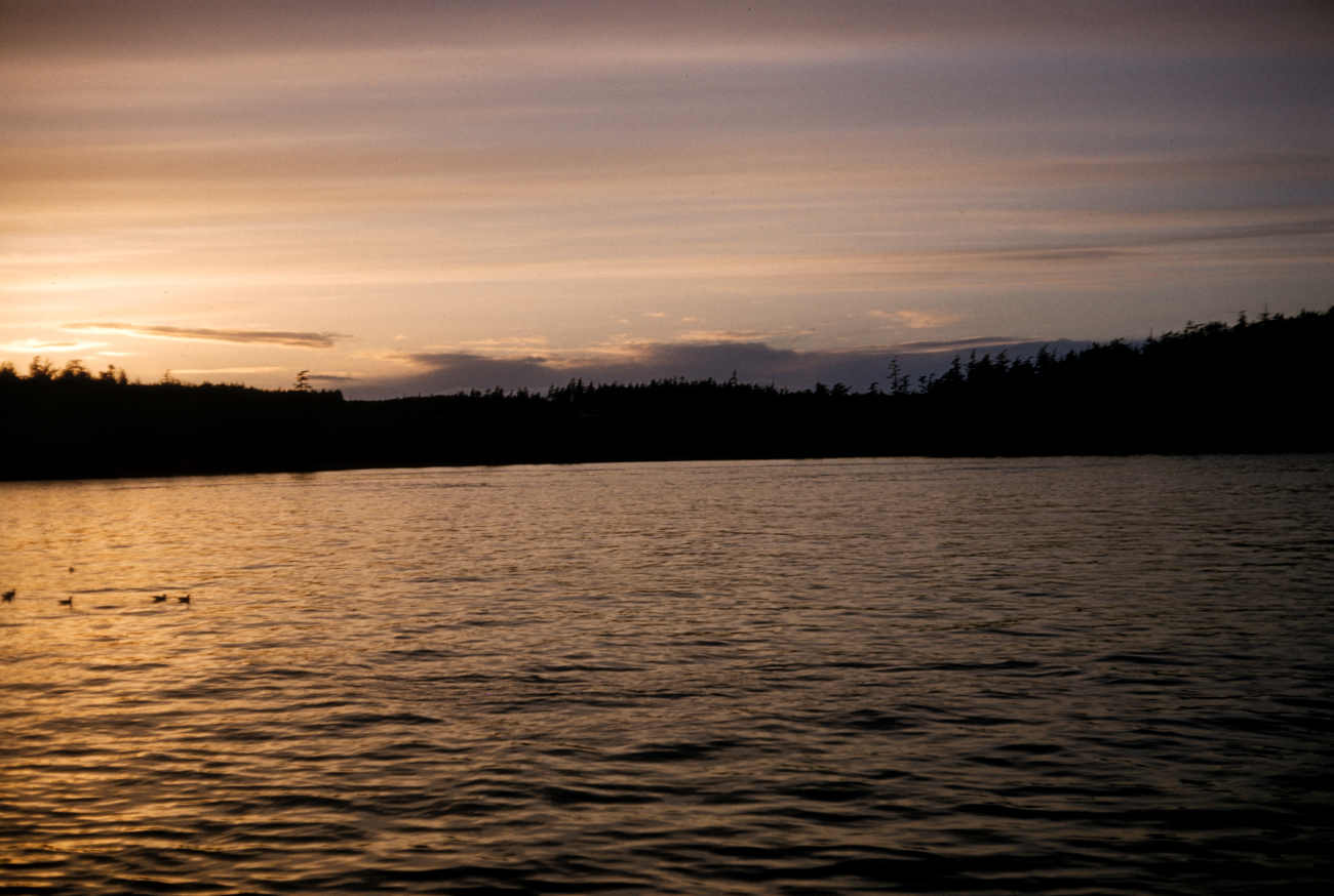 Quiet Alaskan cove at sunset