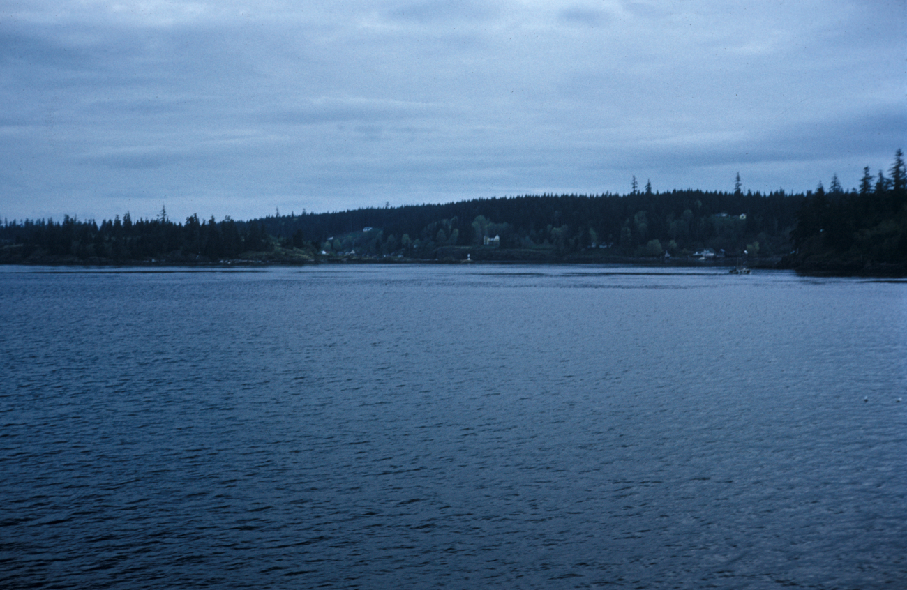 A scene in Alaska's Inside Passage