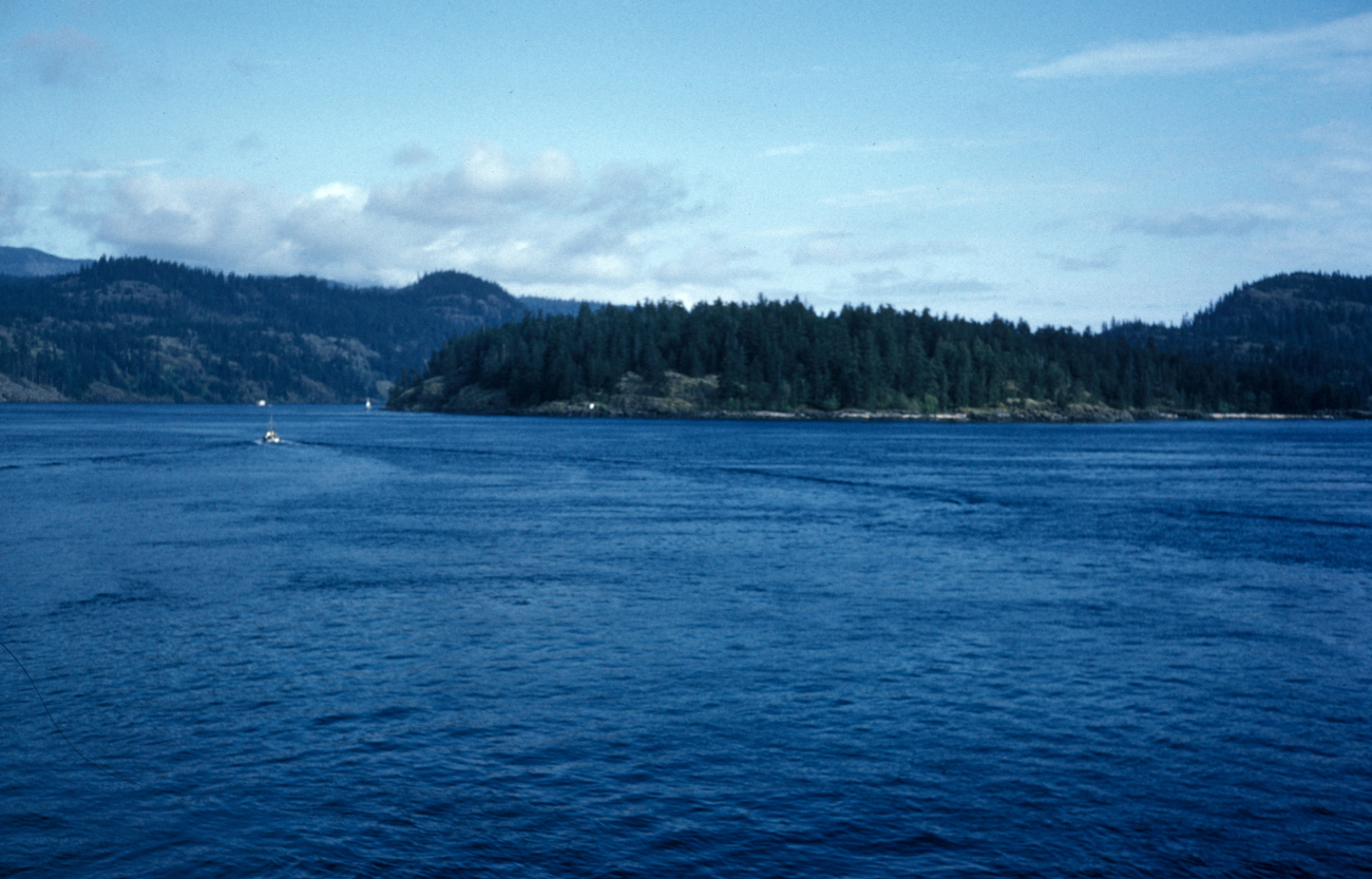 A scene in Alaska's Inside Passage