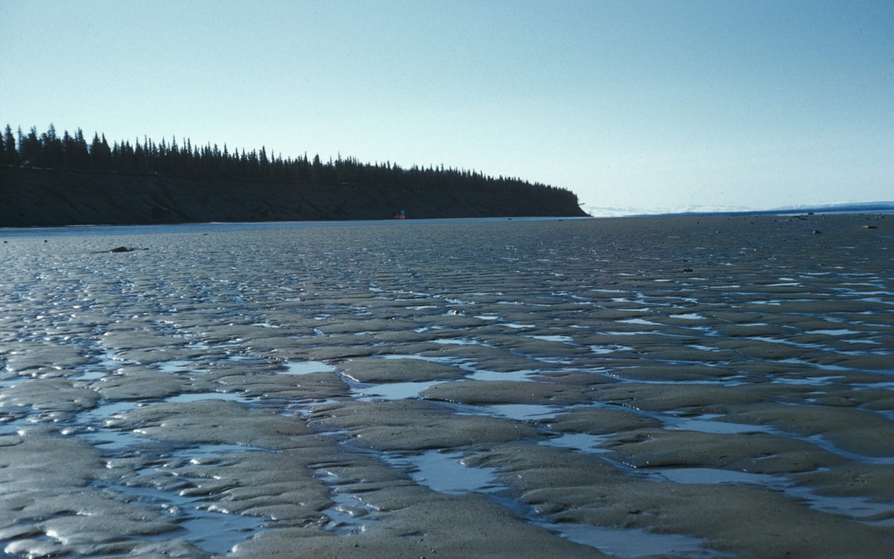 Mudflats in Cook Inlet at low tide