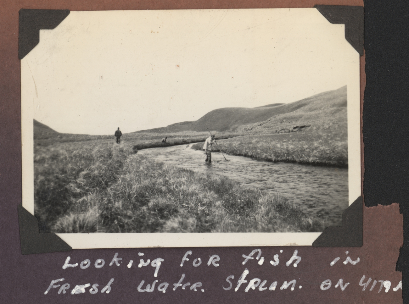 Trying to catch fish in a fresh water stream on Umnak Island