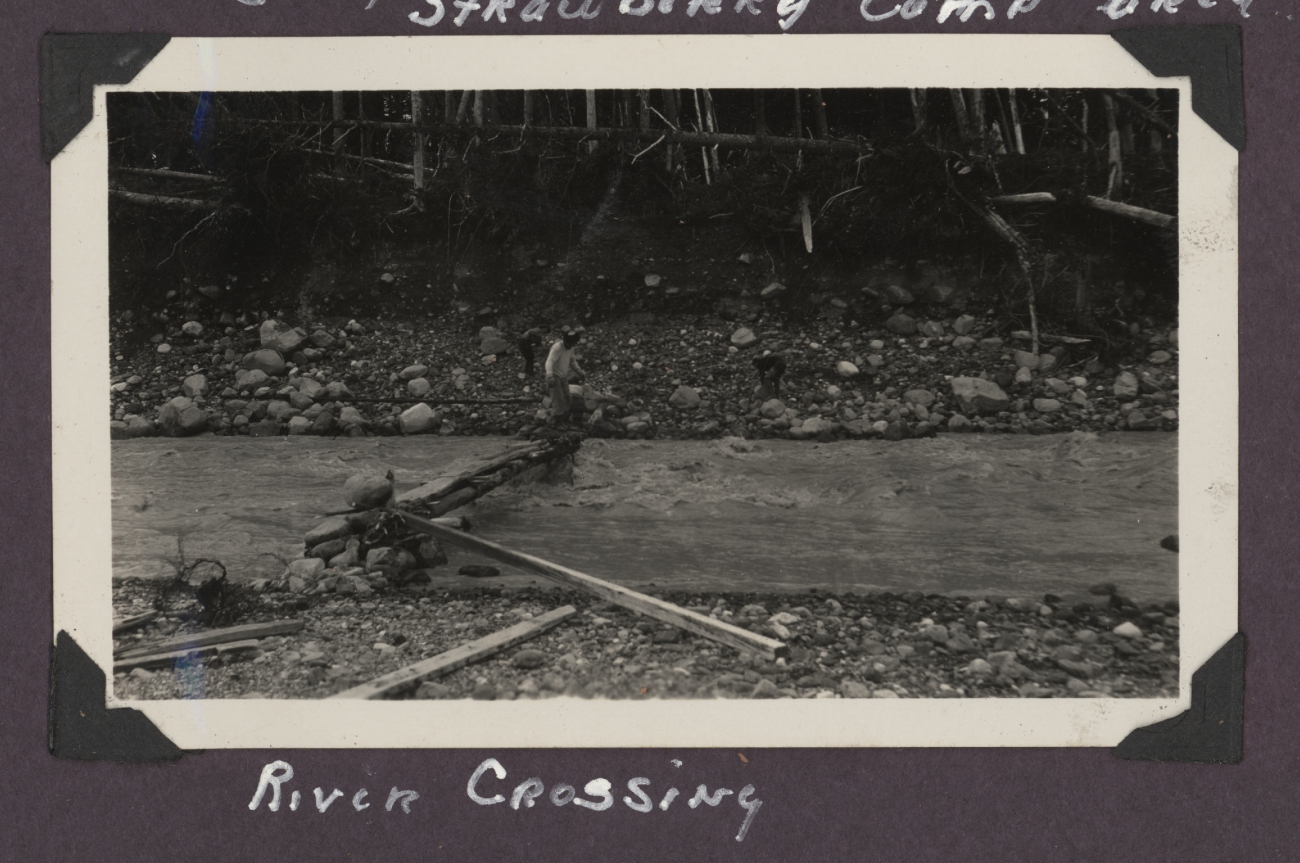 Improvised driftwood bridge for river crossing