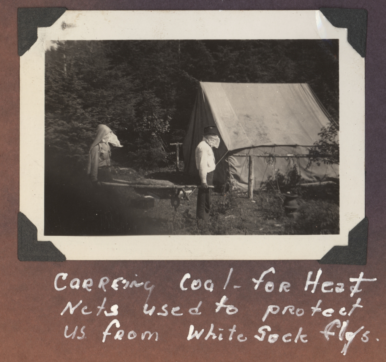 Carrying coal for heat - seems a little strange - wonder how they got the coal?The nets on their heads are to protect them from biting hordes of white sockflies, also paradoxically called black flies