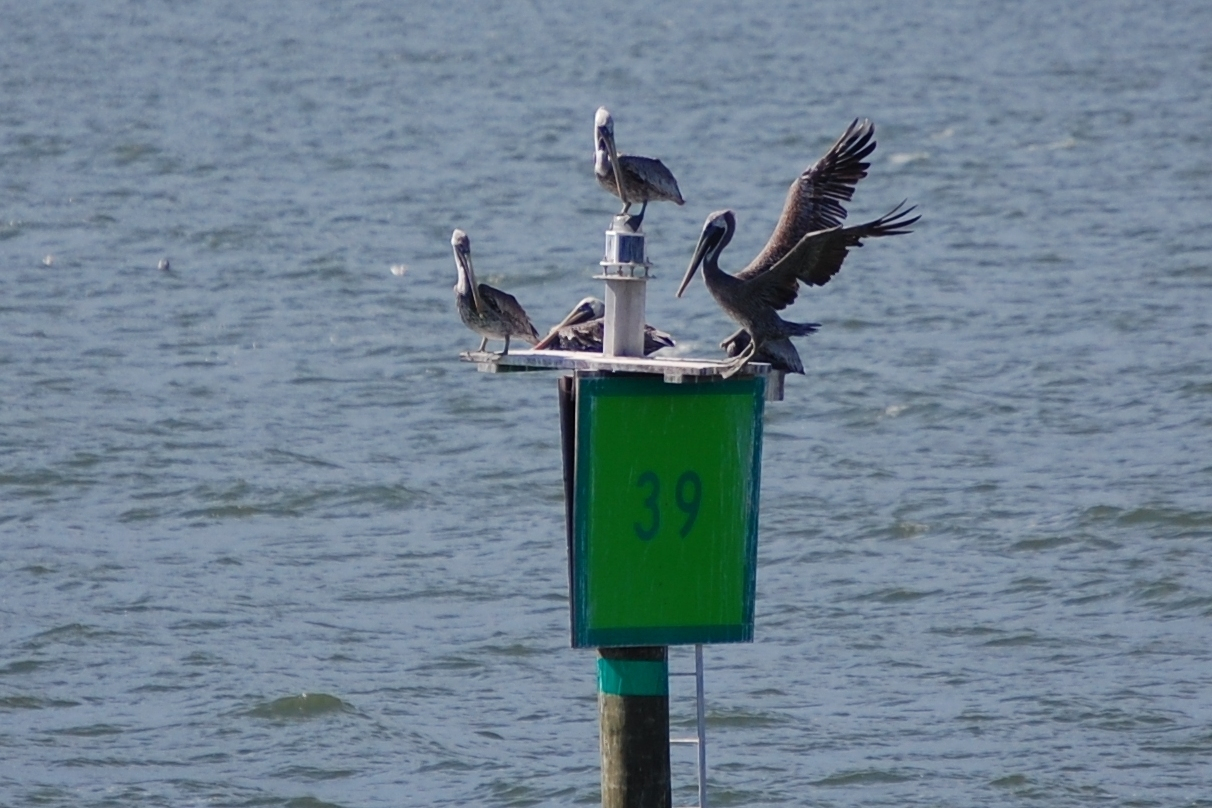 Daymark indicating keep aid to port when returning from sea