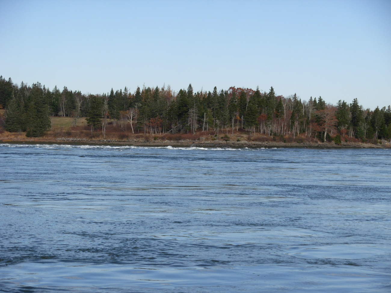 Tidal overfall known as Reversing Falls in Cobscook Bay