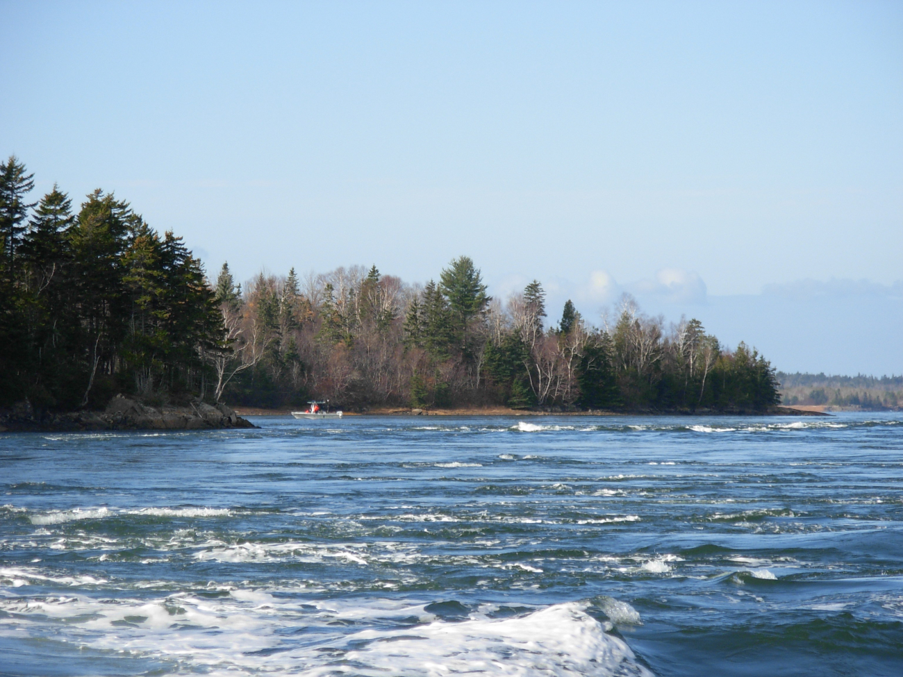 Tidal overfall known as Reversing Falls in Cobscook Bay