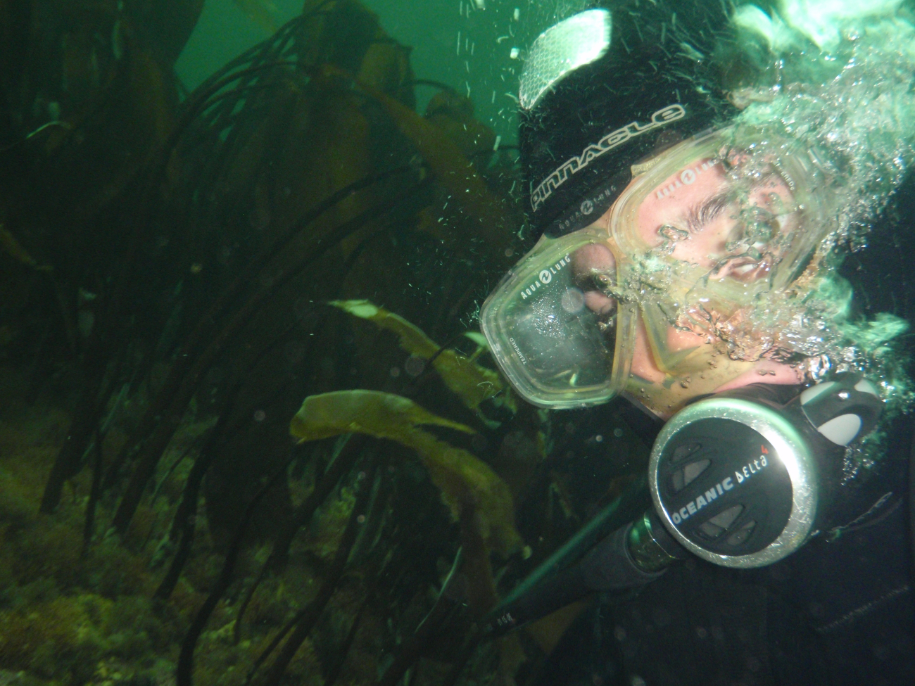 Diver in kelp checking least depth over pinnacle rock
