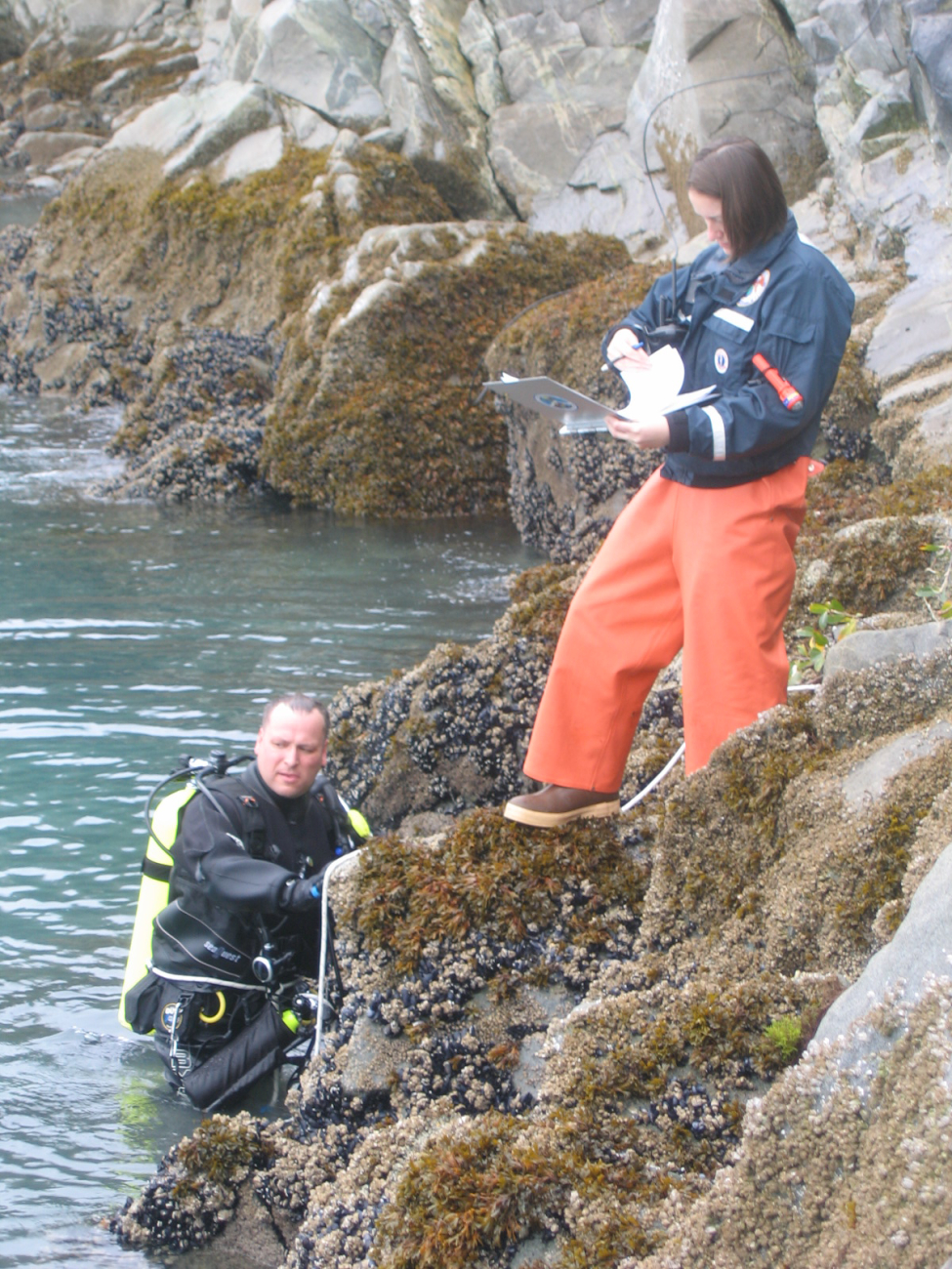 Dive operations for tide gauge installation