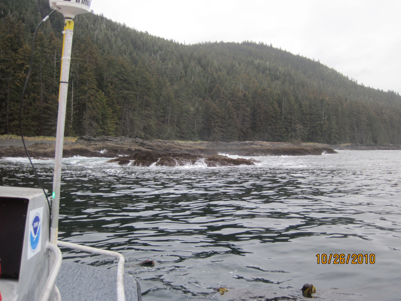 Kelp and offhsore rock noted during shoreline mapping operations