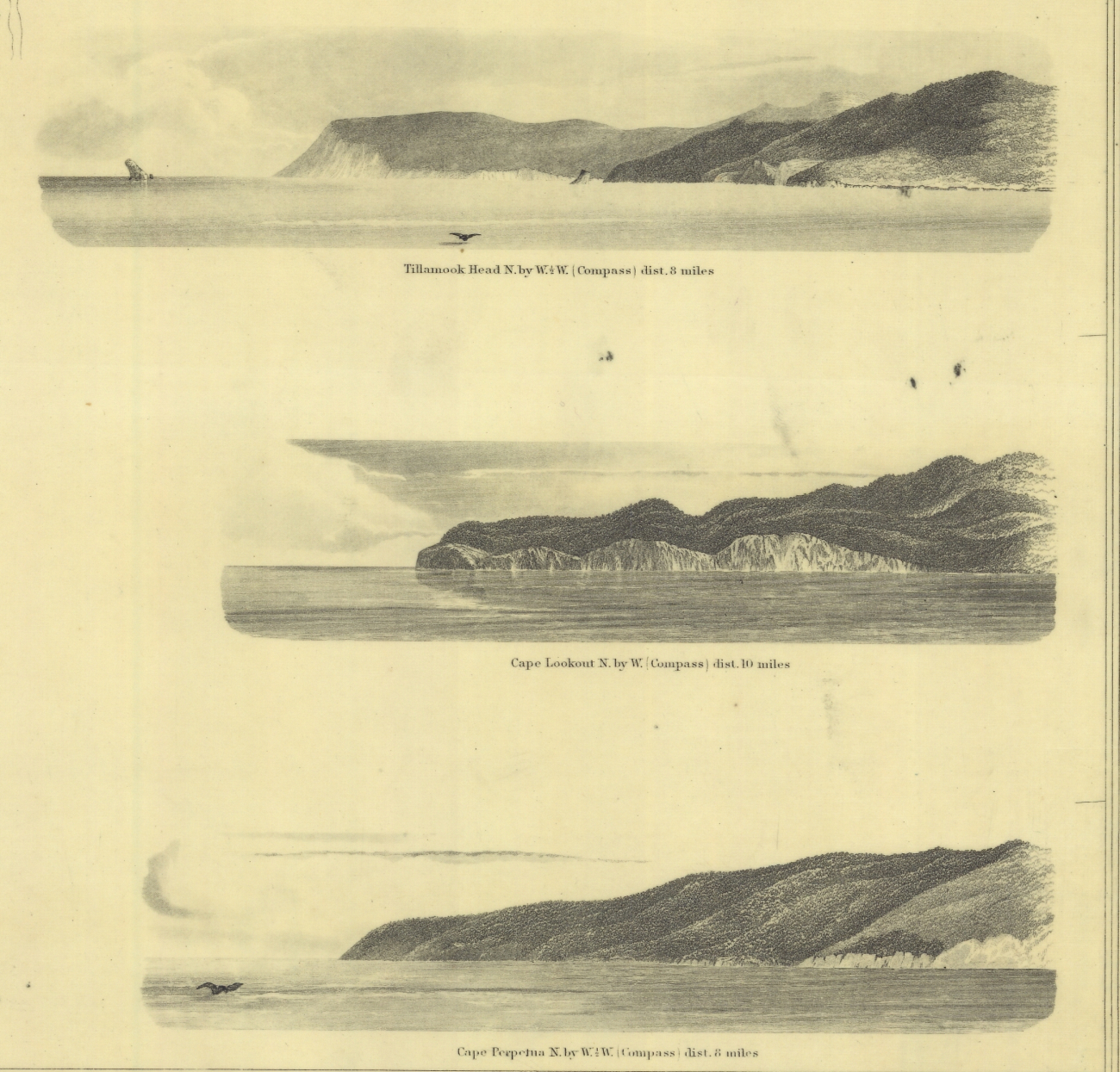 Views of Tillamook Head, Cape Lookout, and Cape Perpetua
