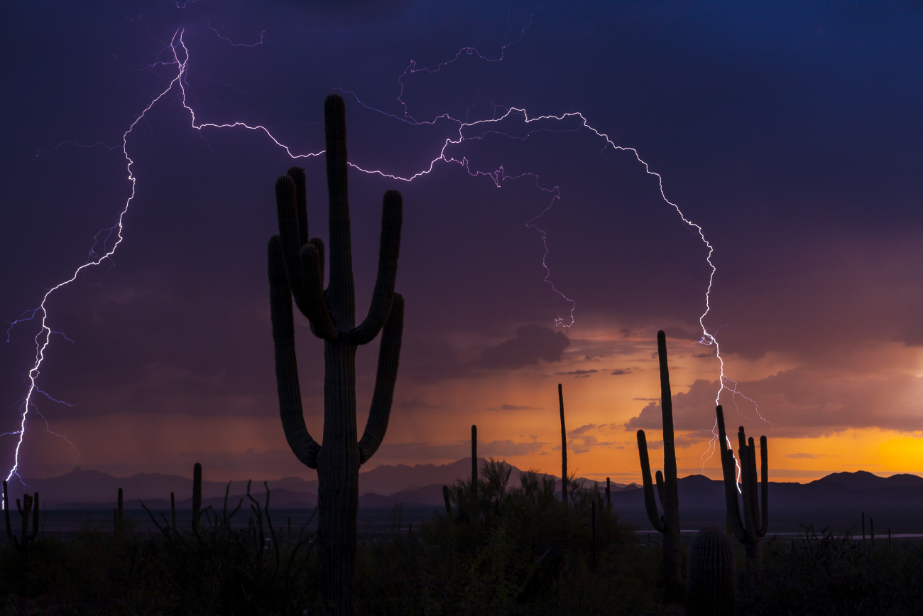 Monsoon storm producing a forked lightning bolt from the Red Hills VisitorsCenter at Saguaro National Park in Southern Arizona