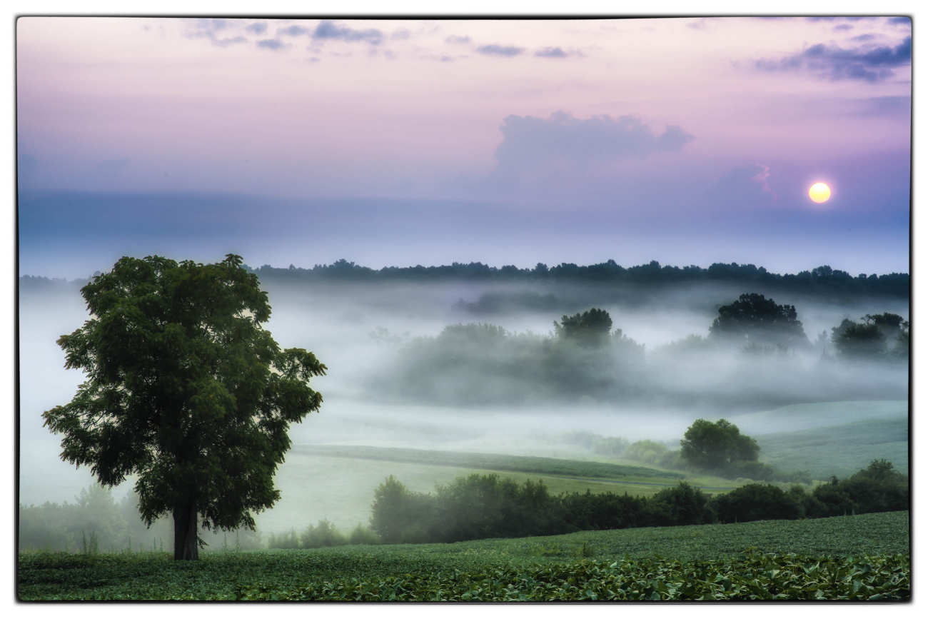 Foggy Sunrise in Chancellorsville