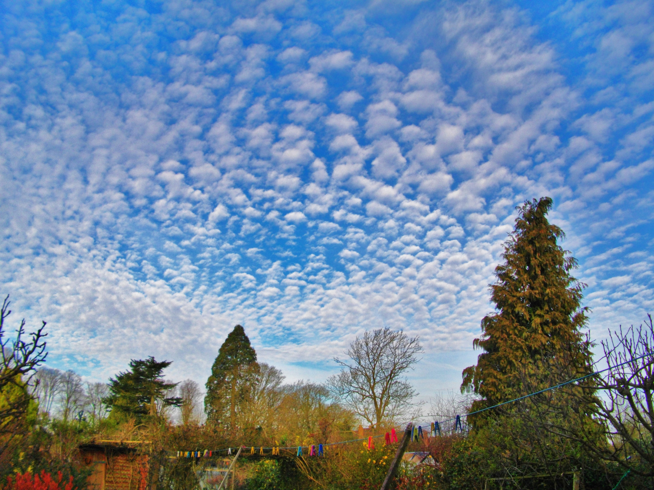 The perfect sky, altocumulus clouds also known as mackerel sky