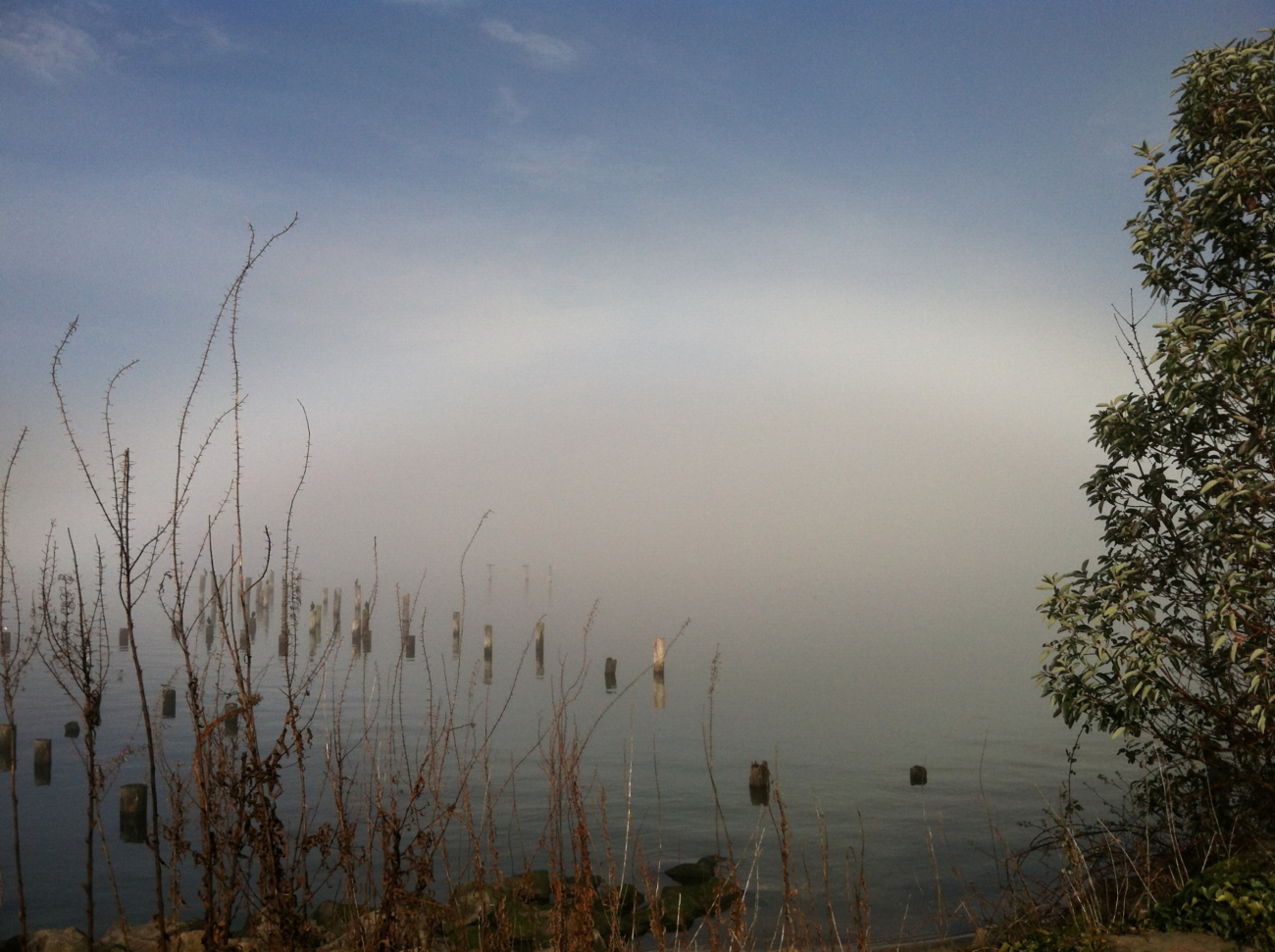 Fog bow seen at Titlow Park while walking dog early in the morning