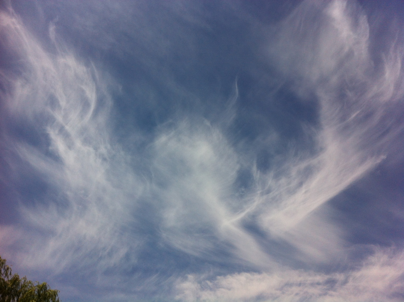 Cirrus Angel - One beautiful Saturday morning I walked out on my deck andand this cloud was right overhead!