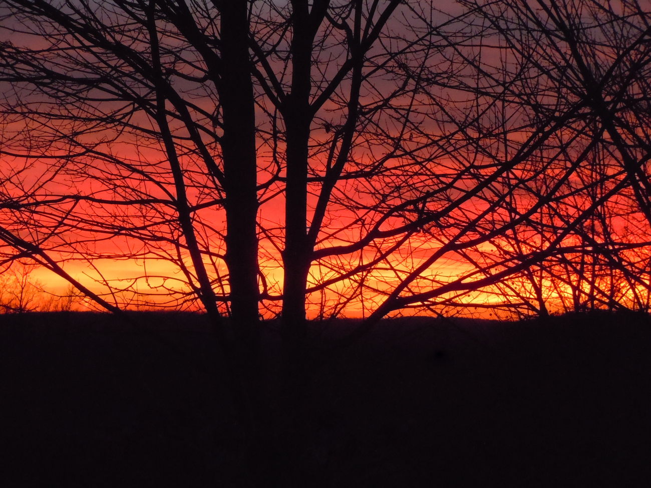 A beautiful sunset captured from backyard