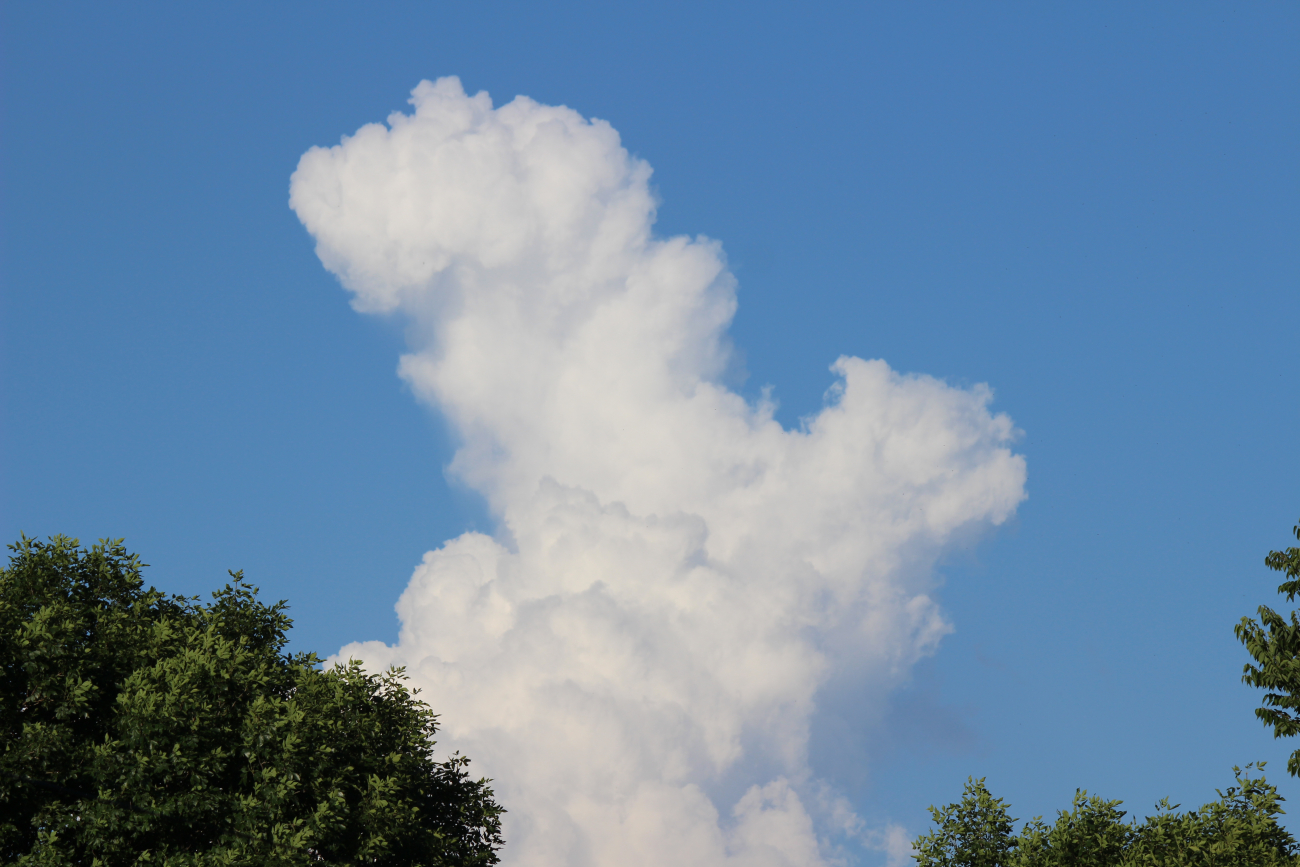 Late afternoon cloud formation that looks a lot like Goofy!