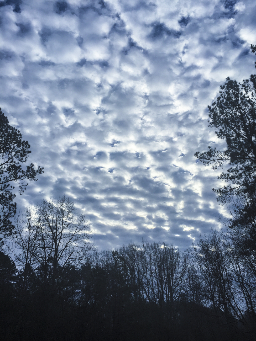 Classic mackerel sky seen early in the morning outside home