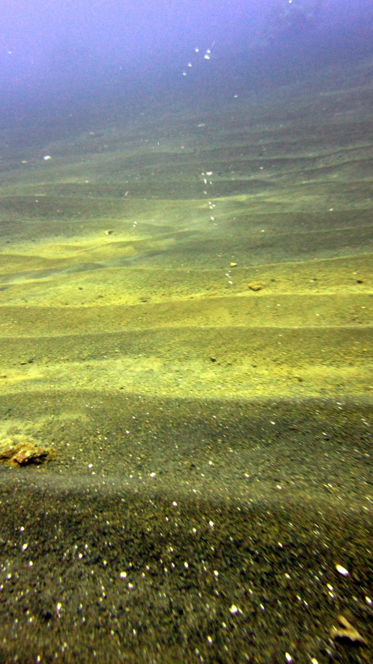 A transition from dark sand to lighter sand in a strongly rippled area