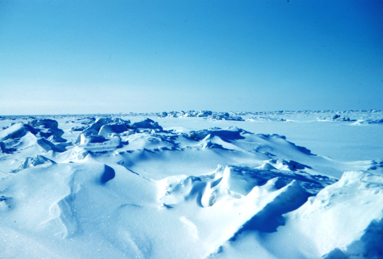 Winter sea ice terrain of the Beaufort Sea