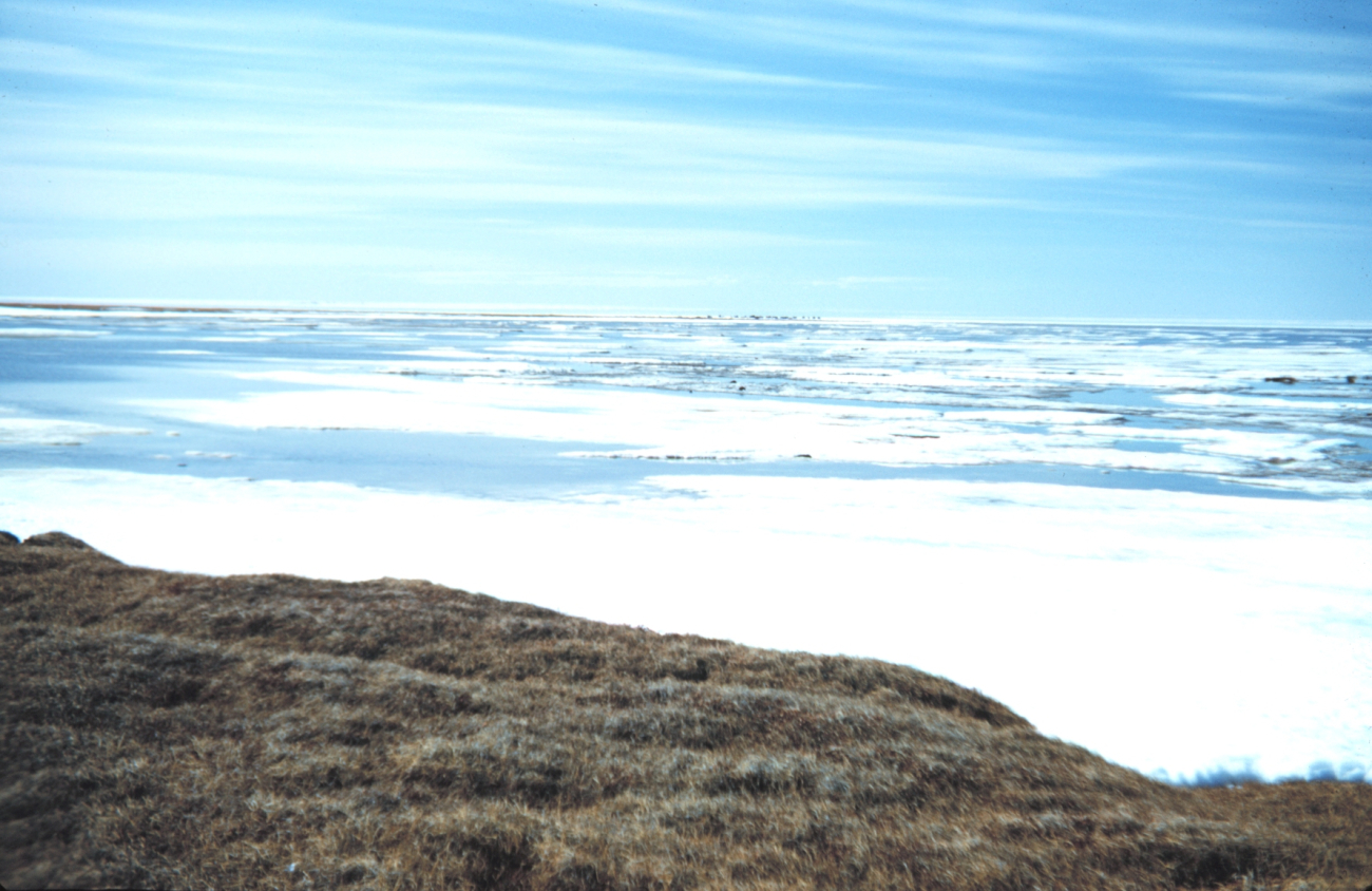 Looking over arm of the Beaufort Sea before the pack ice breaks upOliktok Point Camp in distance in photo center
