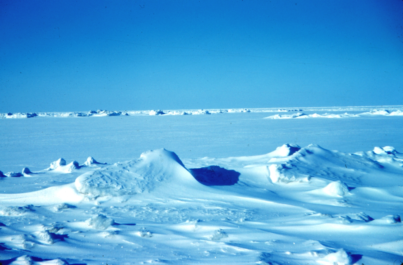 The sea ice off of Tigvariak Island