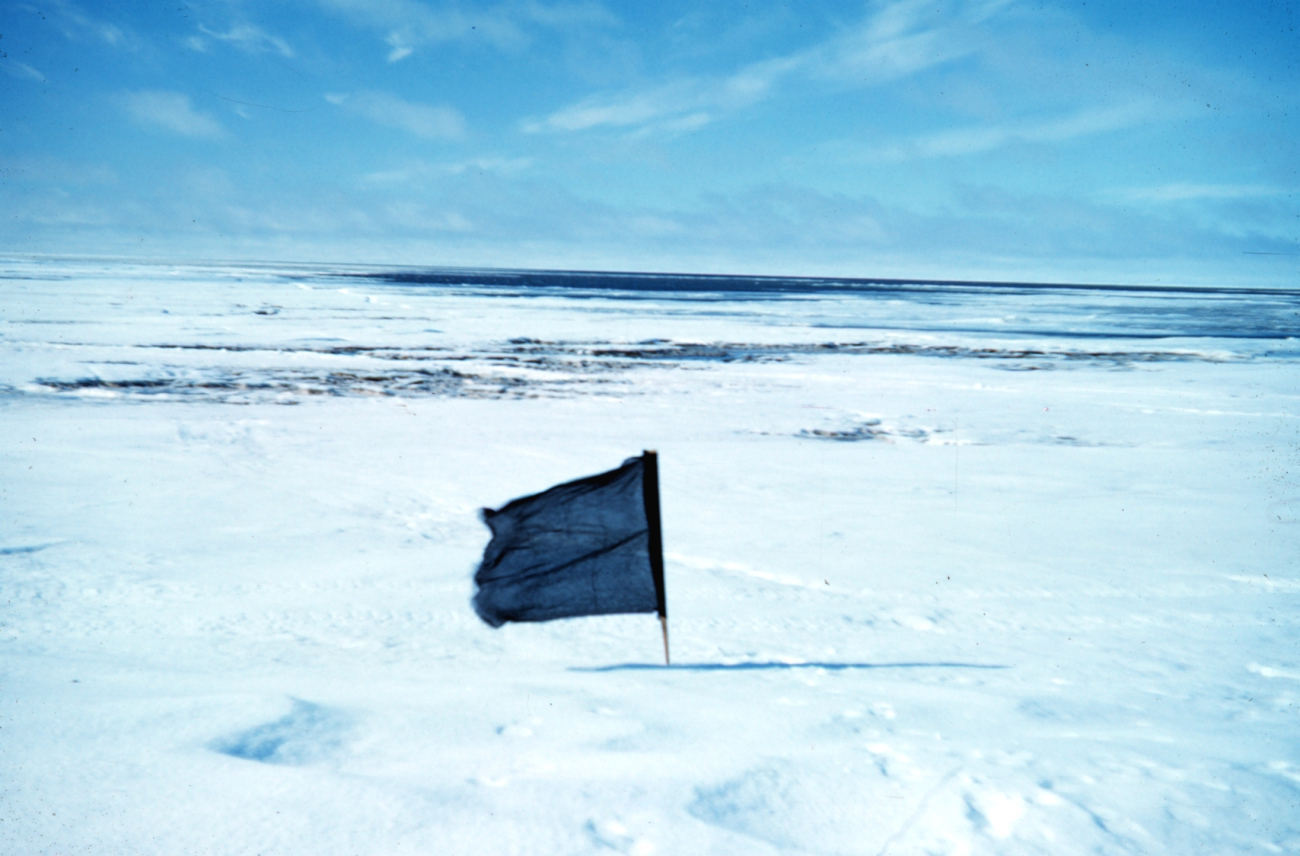 Flag for either placing survey signal or perhaps to mark route to survey signals