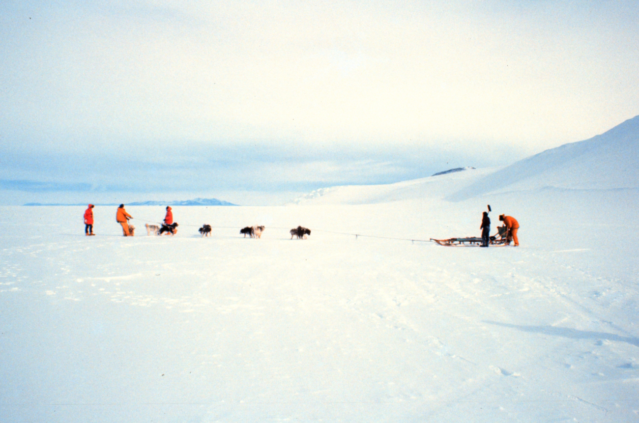 A little dog sled training was given during survival training