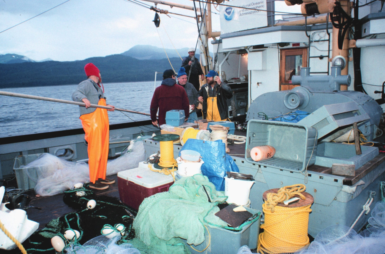 Salmon gillnetting cruise - studying smolts diurnal activities