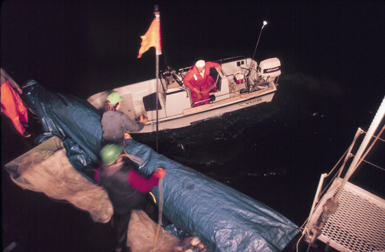 Gillnetting for smolts at night south of Douglas Island