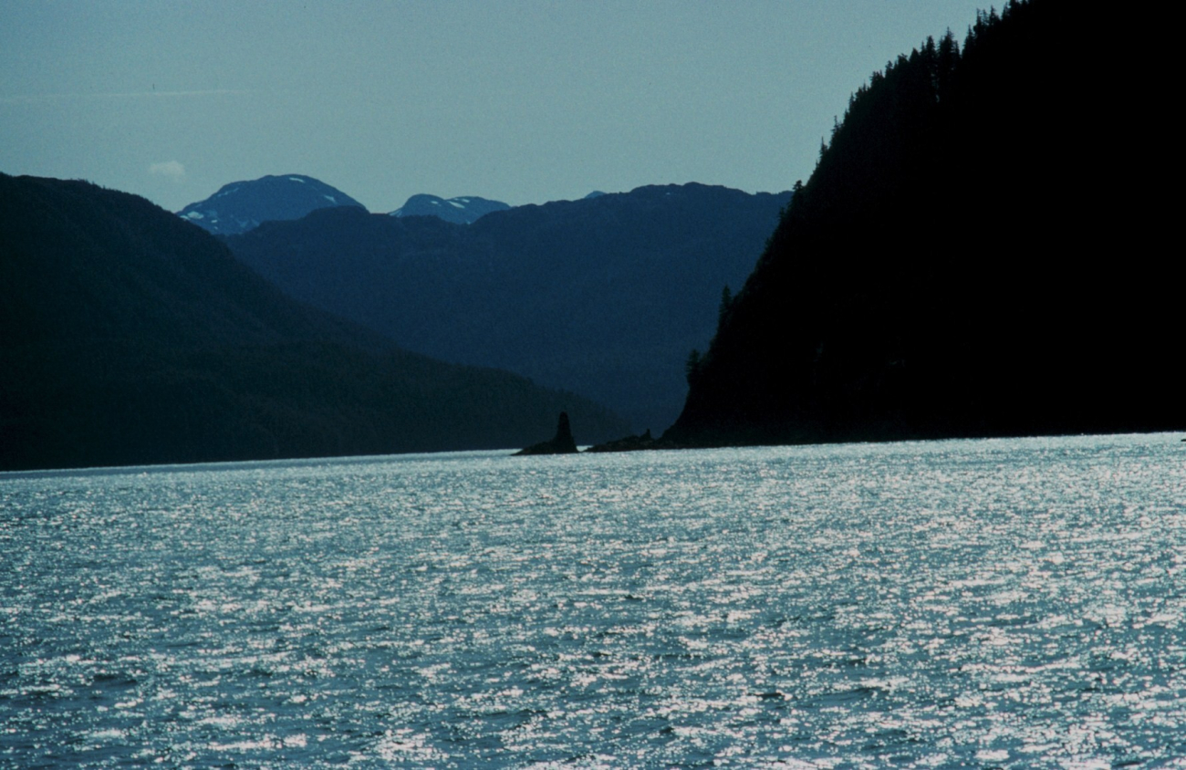 Rugged Alaska coastline - possibly Lisianski Sound